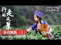 【Eng Sub】《行走的风景》第六集（上）武夷岩茶“岩骨花香”最迷人 品鉴最纯粹的茶香岩韵【CCTV纪录】