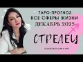 СТРЕЛЕЦ ТАРО ПРОГНОЗ ВСЕ СФЕРЫ ЖИЗНИ НА ДЕКАБРЬ 2023