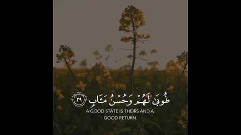 Quran 🤍 تلاوة من سورة الرعد