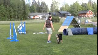 Ritu agility 20140526