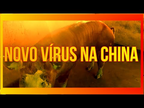 Vídeo: Na China, Existe Um Porco Que Pode Andar Sobre Duas Pernas - Visão Alternativa