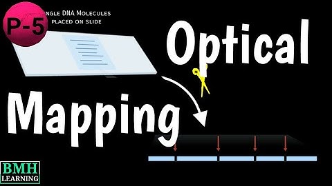 Optical Mapping | Genome Optical Mapping | Restriction Mapping |
