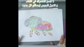 طريقه رسم سلحفاه بطريقه سهله جدا و بسيطه