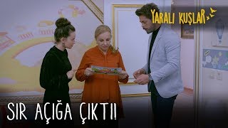 Ulviye'nin hafızası geri geldi | Yaralı Kuşlar 165. Bölüm