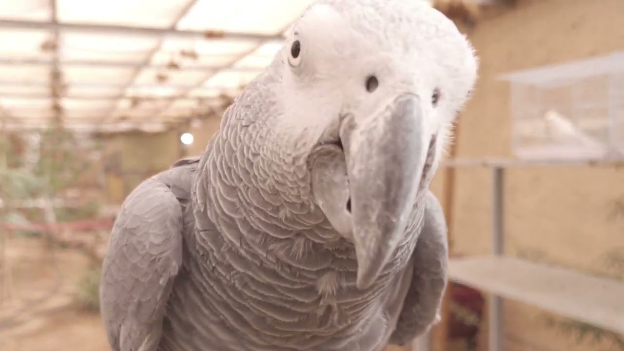 Tourist Place in Hail Saudi Arabia | Mema Upload