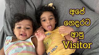 අපේ ගෙදරට ආපු VISITOR | Saranya and Krisharya