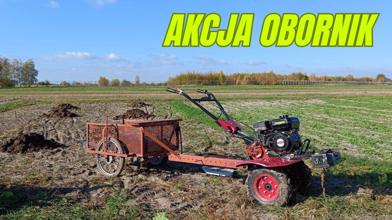 Jesienna akcja obornik, czyli glebogryzarka z przyczepką i pługiem