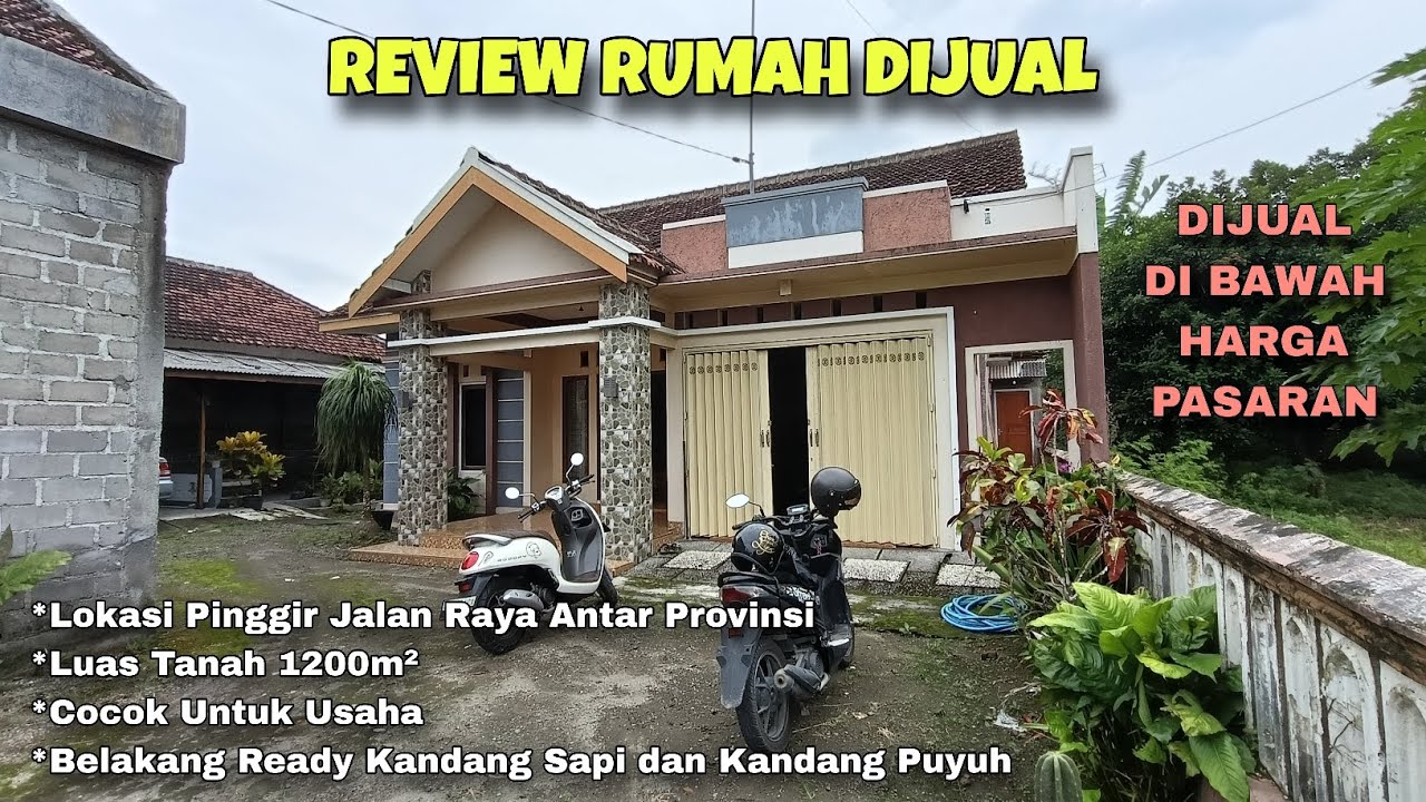Review Rumah DIJUAL di Bawah Harga Pasaran | Pinggir Jalur Provinsi | Bonus Kandang Siap Isi