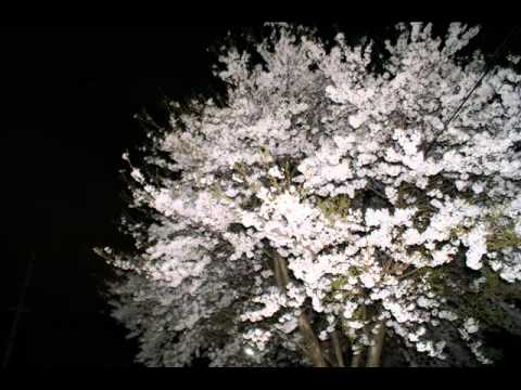 bye bye blackbird.wmv