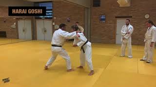 Técnicas del Judo. Harai goshi