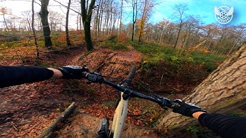 Epic MTB Ride in The Netherlands - What We Found Is Wild!
