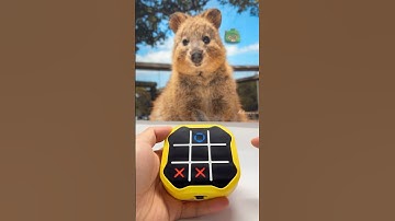 월요일도 힘내세요🤗❤️ #tictactoe #happy #puzzle #toys #games #boardgames #monday #틱택토 #월요병 #힘내세요 #게임 #퍼즐