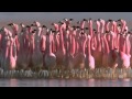 Baroque Flamingo Dance.avi