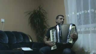Puiu Chibici la acordeon | Suntem doar o rasuflare chords