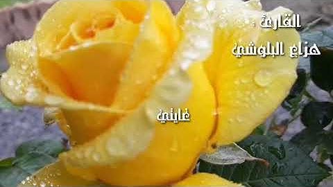 قرآن كريم بصوت هزاع البلوشي // اجمل حالات واتس اب دينية // تلاوة خاشعة // تصويري