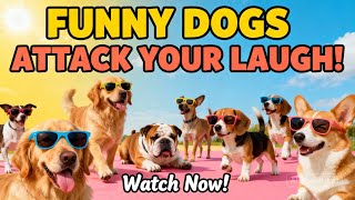 Funny Dogs Will Make Your Day Better | Cute Dog Fails & Reactions 😍🐕