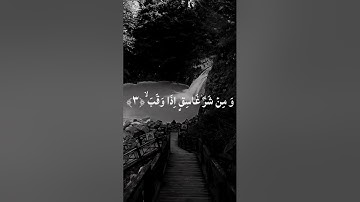 #سورة_الفلق #اكسبلور #القزابري #تيك_توك #المصحف #حالات_واتس #duet #دحمان #دويتو #راحة_نفسية