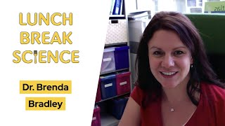Lunch Break Science #38 | Brenda Bradley