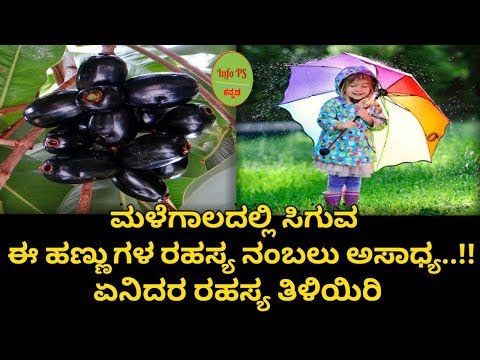 ಮಳೆಗಾಲದಲ್ಲಿ-ಸಿಗುವ-ಈ-ಹಣ್ಣುಗಳ-ರಹಸ್ಯ-ನಂಬಲು-ಅಸಾಧ್ಯ!-ಏನಿದರ-ರಹಸ್ಯ-ತಿಳಿಯಿರಿ|amazing-benefits-of-jamun-fruit
