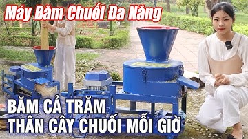 Máy Băm Chuối Đa Năng Bình Quân Group Băm Cả 180 Thân Cây Chuối Mỗi Giờ