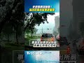 北投路樹突斷裂！派出所前休旅車慘遭重壓｜TVBS新聞@TVBSNEWS01