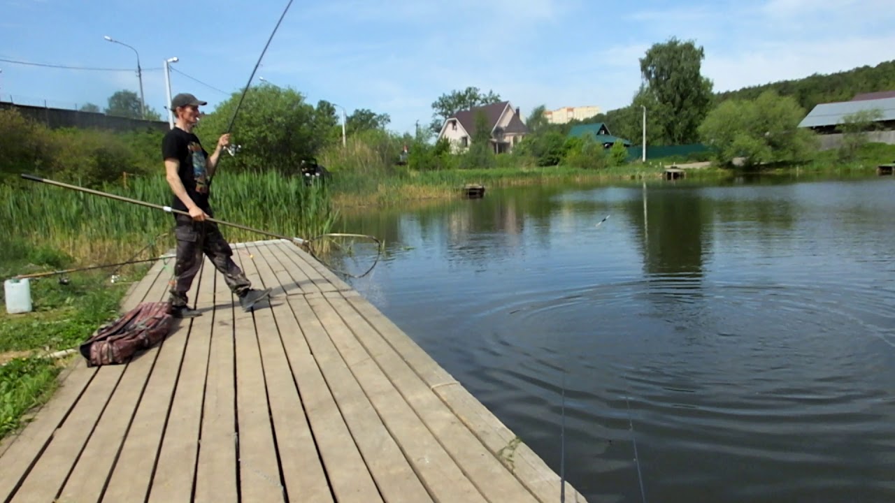 Коргашино платная рыбалка. Рыбалка в Пирогово. Рыбалка в Каргашино Пирогово. Пирогово, деревня Коргашино. Платная рыбалка в Пирогово.