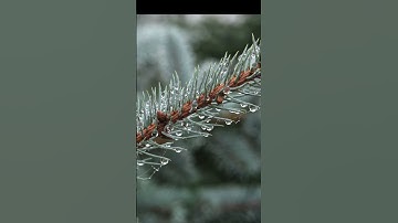 Hasselblad x2d 100, 90mm xcd and new 9mm extension tube.