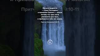 Притчи Соломона 9:10-11