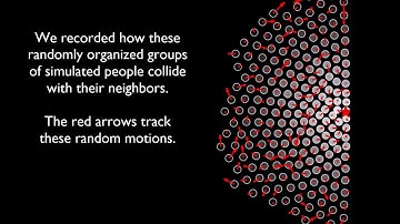 High Density Collective Motion Movie -  Bottinelli et al