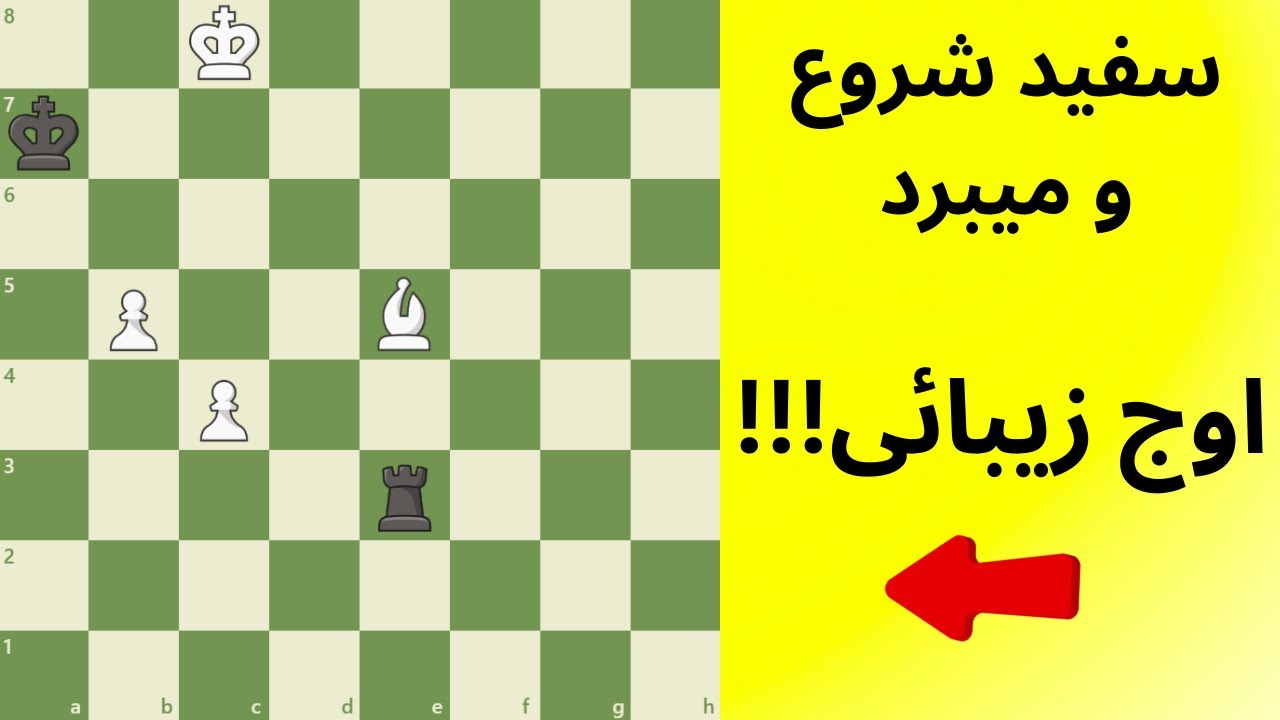 !!!سفید شروع و میبرد،،، اوج زیبائی l Beauty Peak