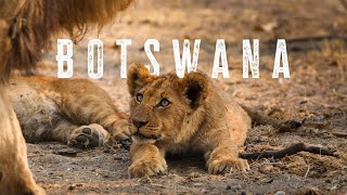 Botswana | A Safari Honeymoon