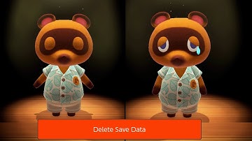 Animal Crossing New Horizons - What happens when you DELETE your save data?