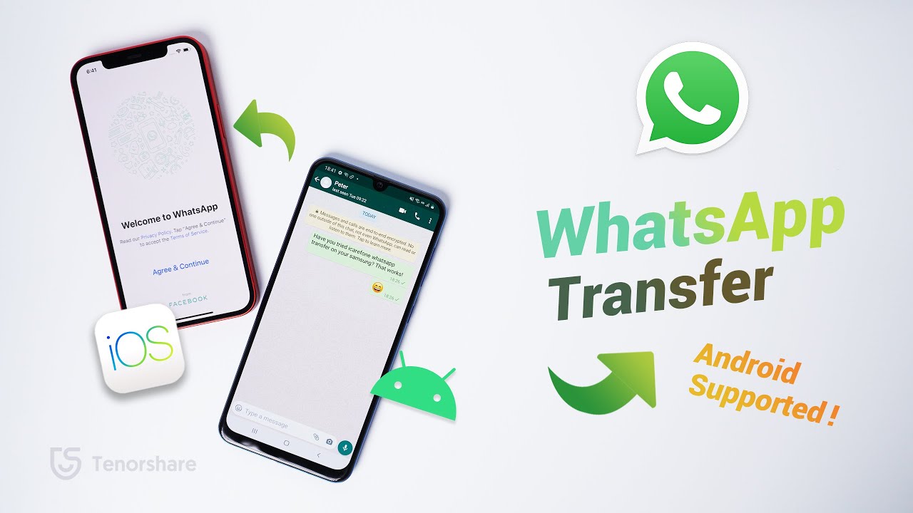 The EASIEST Way to Transfer WhatsApp from Android to iPhone [2020 Update]