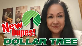 DOLLAR TREE HAUL 'NEW' Dupes, Skin & Beauty Brands! by Patty Shops 374 views 1 month ago 20 minutes