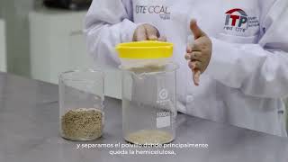 Video avances biomaterial a base de cáscara de arroz
