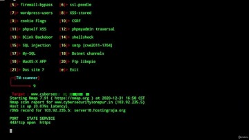 006 Website Vulnerability Scanner   TM SCANNER
