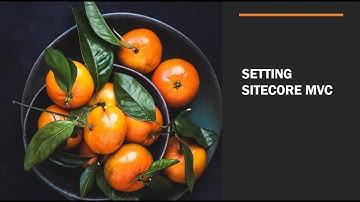Sitecore MVC Setup