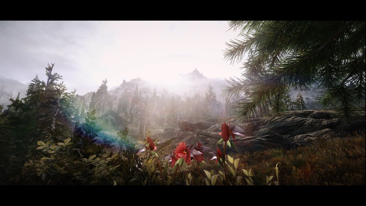 Nat enb