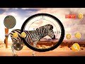 Dinosaur Hunting Game 2024 | Hunt Monsters In Real Jungle | Safari Mode - Jungle Environment (26-30)