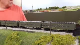 Celebrity DSCN0550 Profile