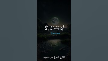 القارئ الشيخ سيد سعيد #اكسبلور #quran #quranismylife