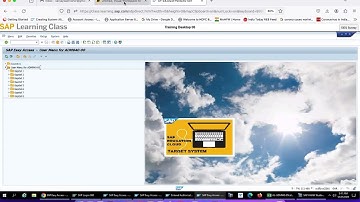 SAP ABAP Authorization ( Role, User ) -1
