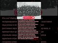 06 "СПЕЦИАЛИСТ КОНТРРАЗВЕДКИ ЗАКРЕПИЛ В ОКНАХ УСАДЬБЫ ЗЕРКАЛЬНЫЕ ПЛИТЫ ДЛЯ СБИВАНИЯ С ТОЛКУ КОРРЕКТО