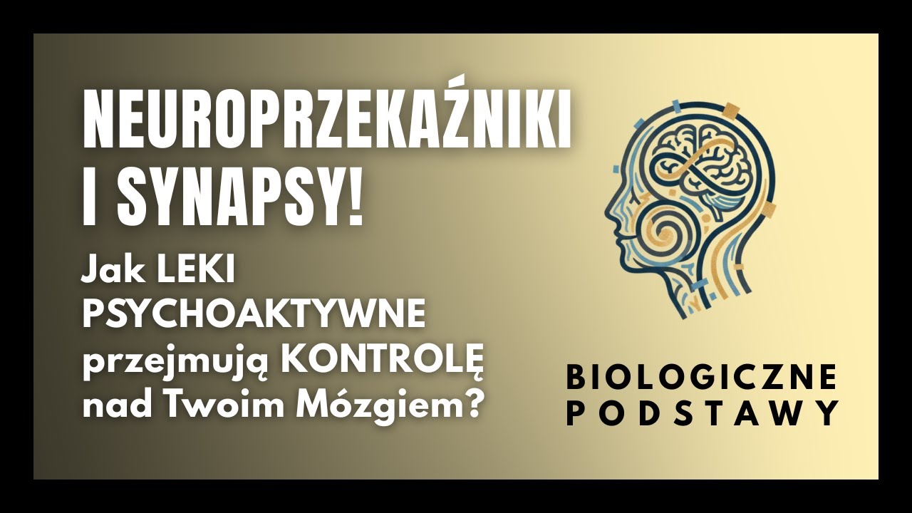#24 Synapsy i neuroprzekaźniki