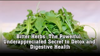 Bitter Herbs: A Taste of True Health, Healing, and Ancient Wisdom
