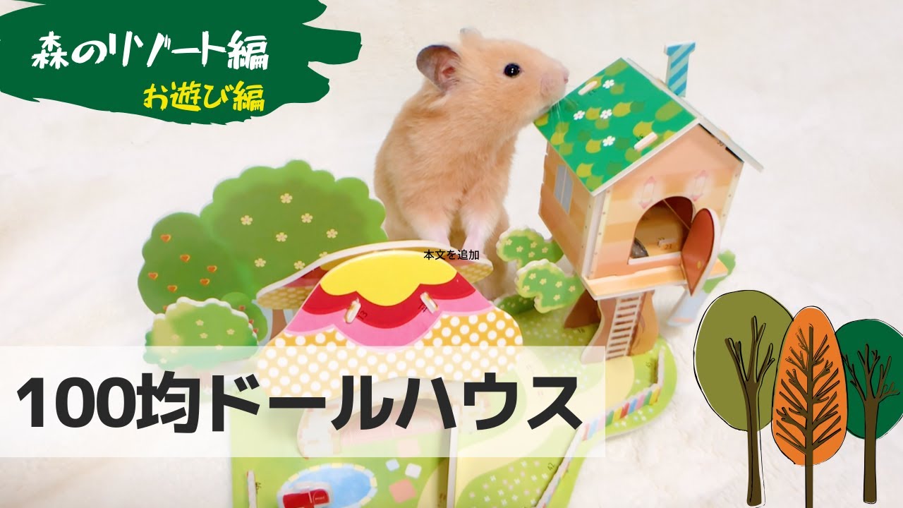 ドールハウスに隠されたひまわりの種探せ 100均ドールハウスのアスレチックでハムスターを遊ばせる 森のリゾート編 Youtube