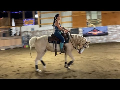 WandaDee Performance Horses+ - YouTube