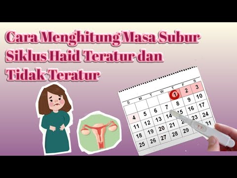 Video: Cara Teratur