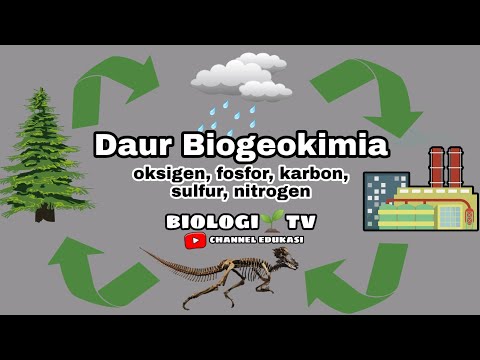 Video: Apa itu karbon nitrogen fosfor?