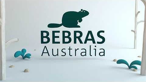 Bebras Australia Computational Thinking Challenge